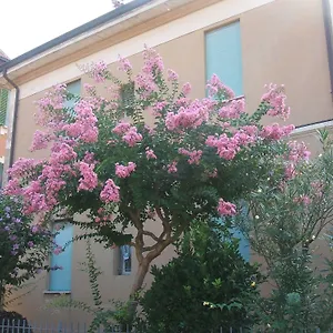 Hotel Accorsi